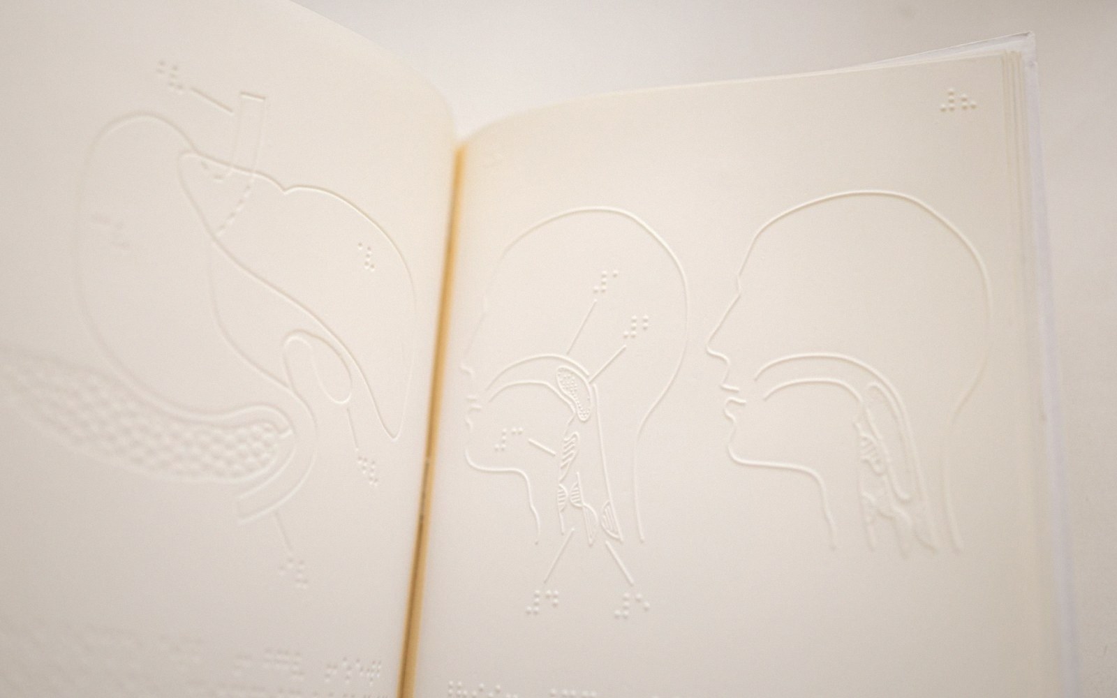 Embossed tactile diagrams of a stomach and human head profiles with braille labels in a book